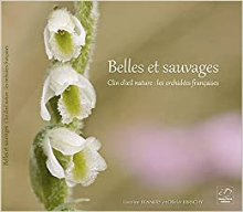Belles et sauvages: Clin d'oeil nature : les orchidées françaises